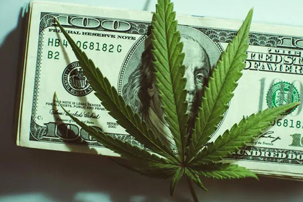 Adult cannabis use has increased significantly